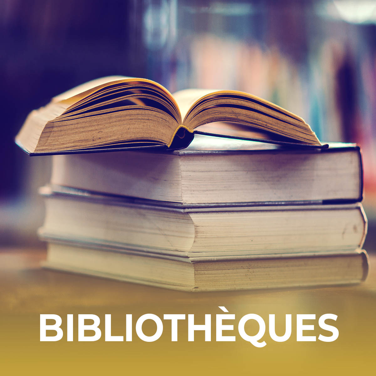 Bibliothèques