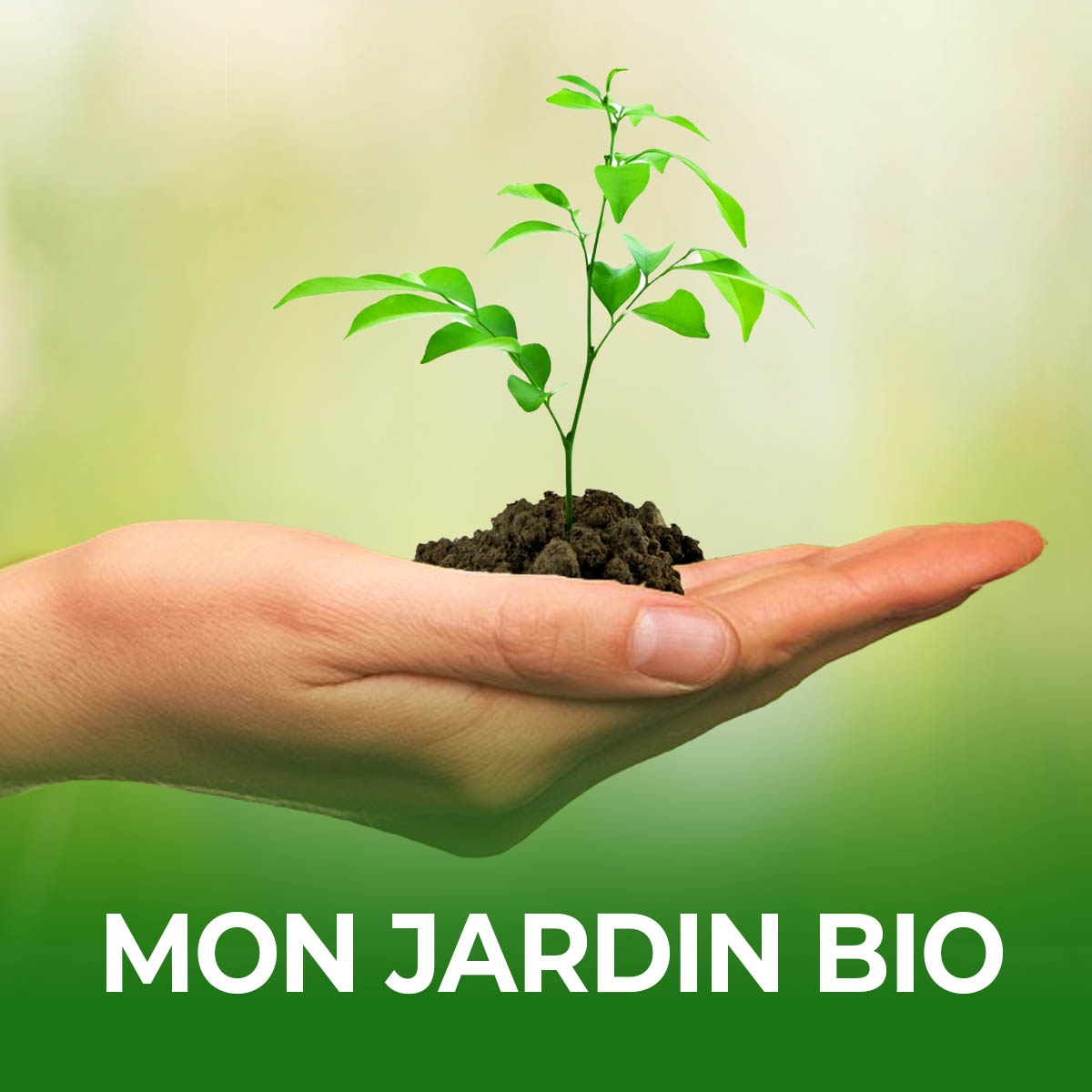 Jardins Plantes