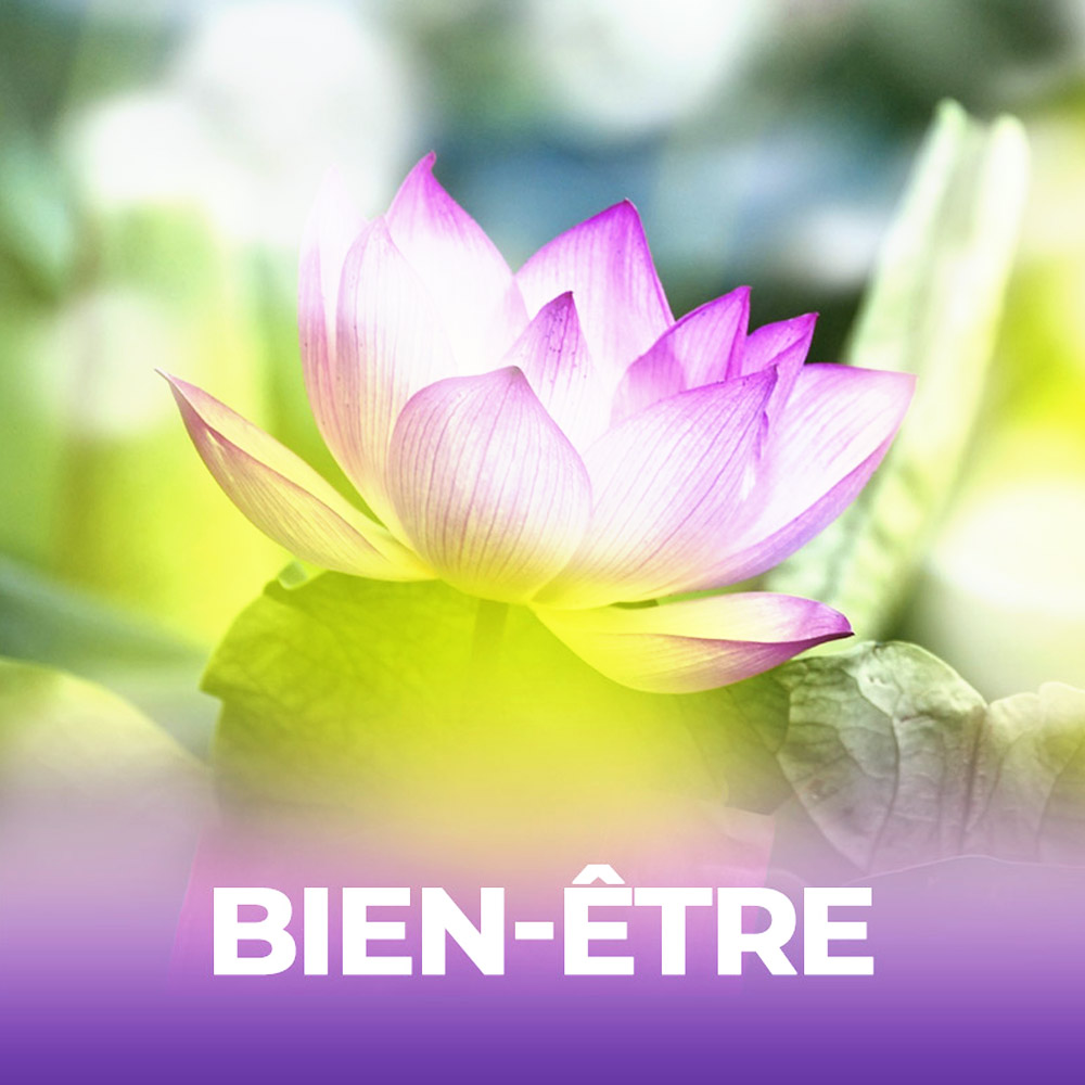 ateliers bien-être