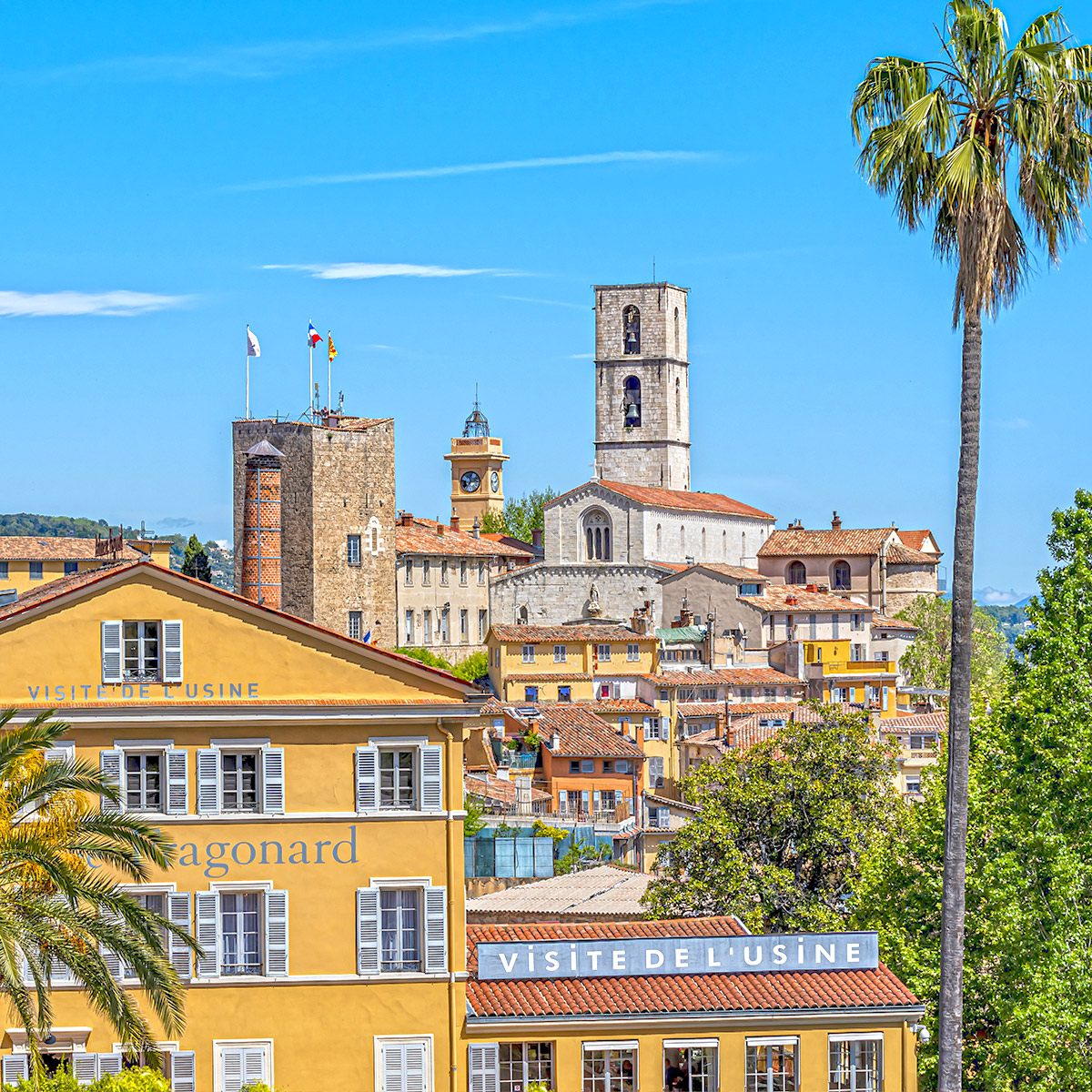 grasse-is
