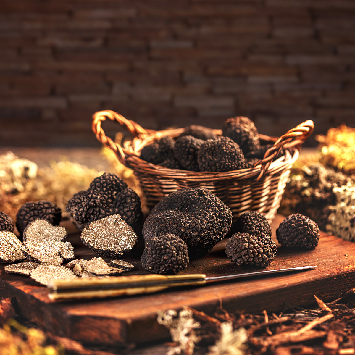 truffes-is