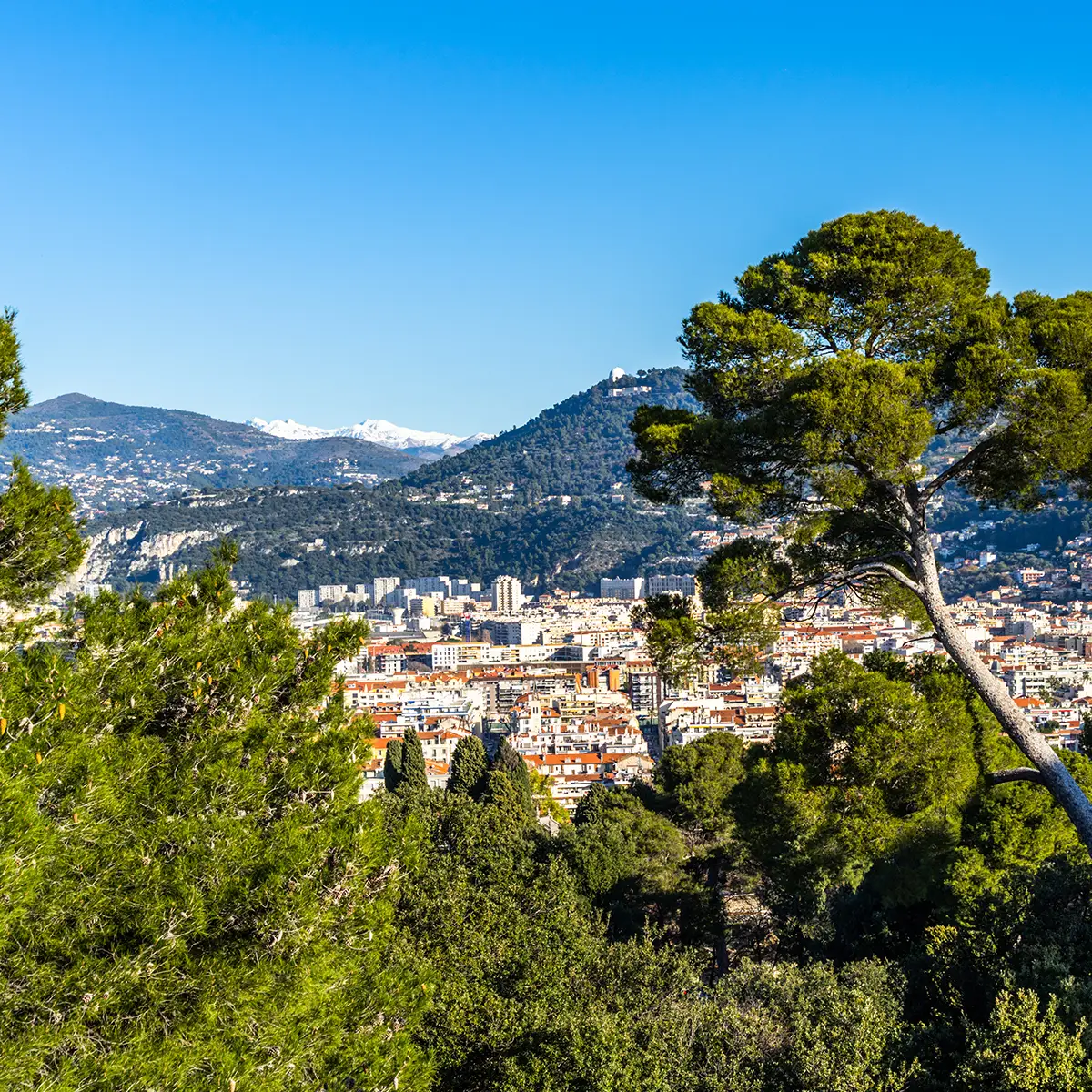 vue-nice-ville