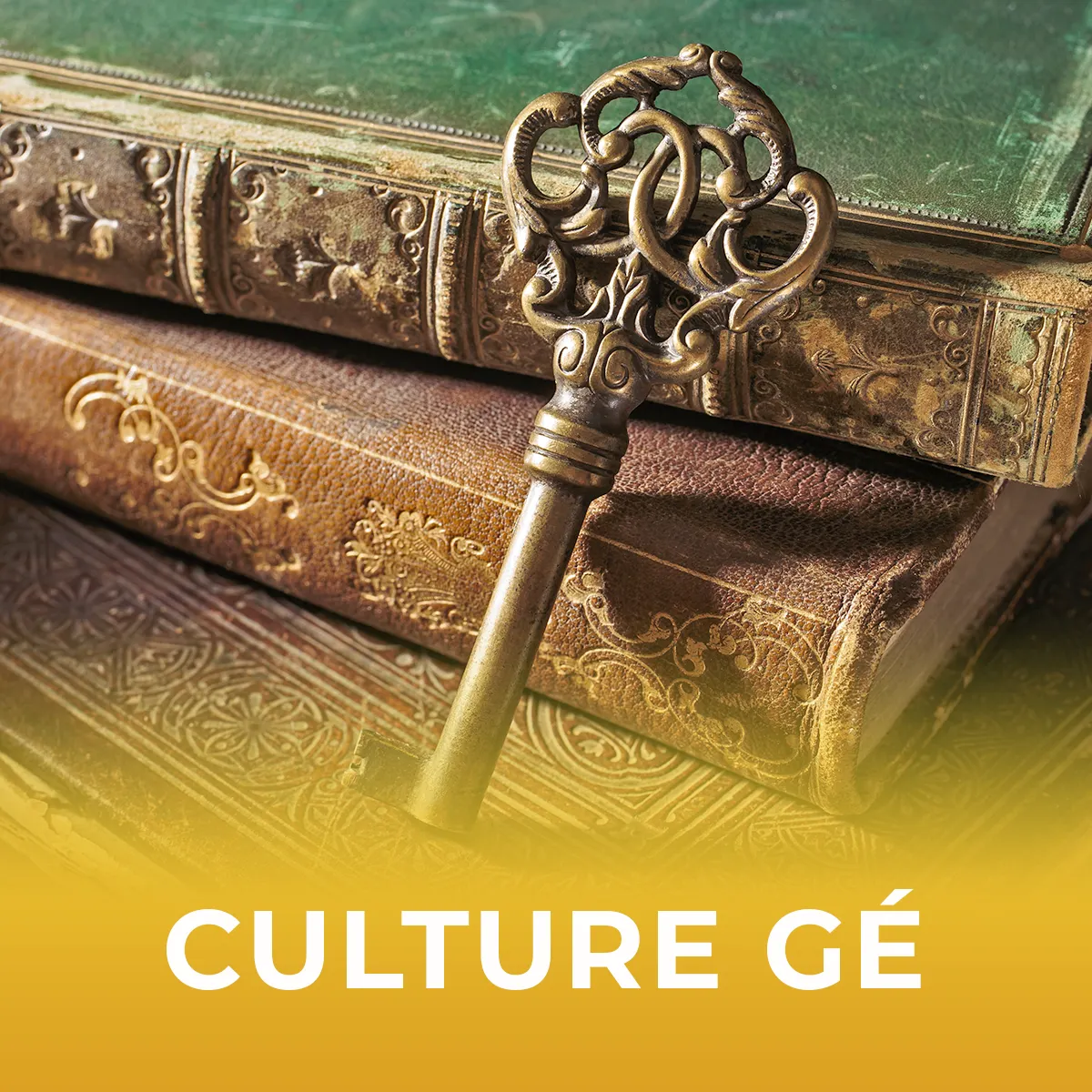 Culture Générale