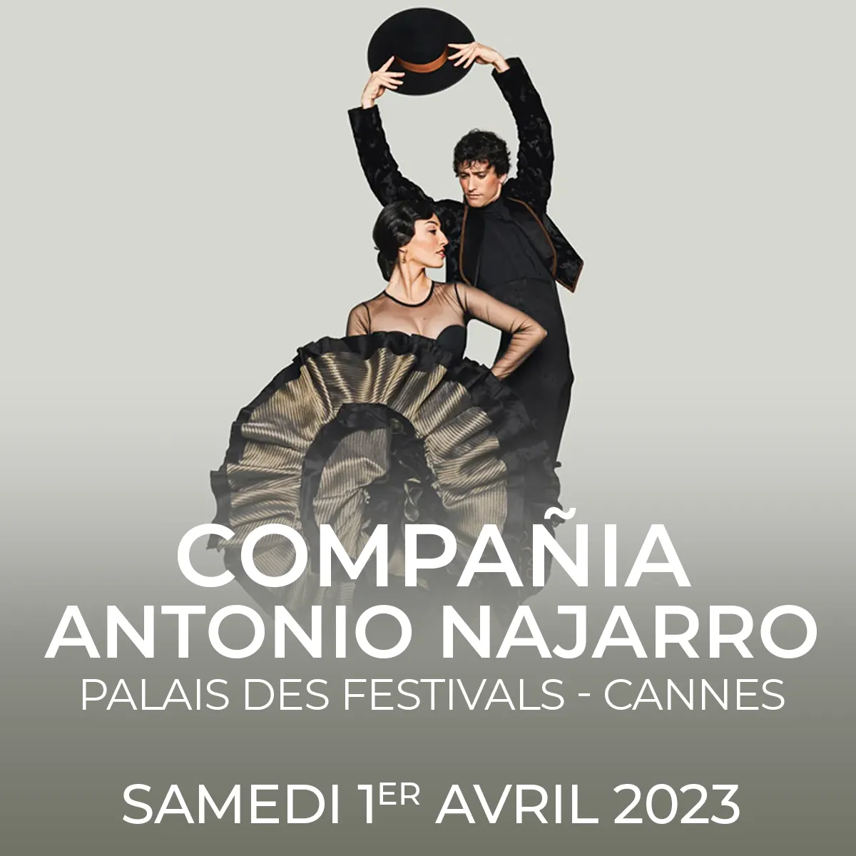 compania antonio najarro