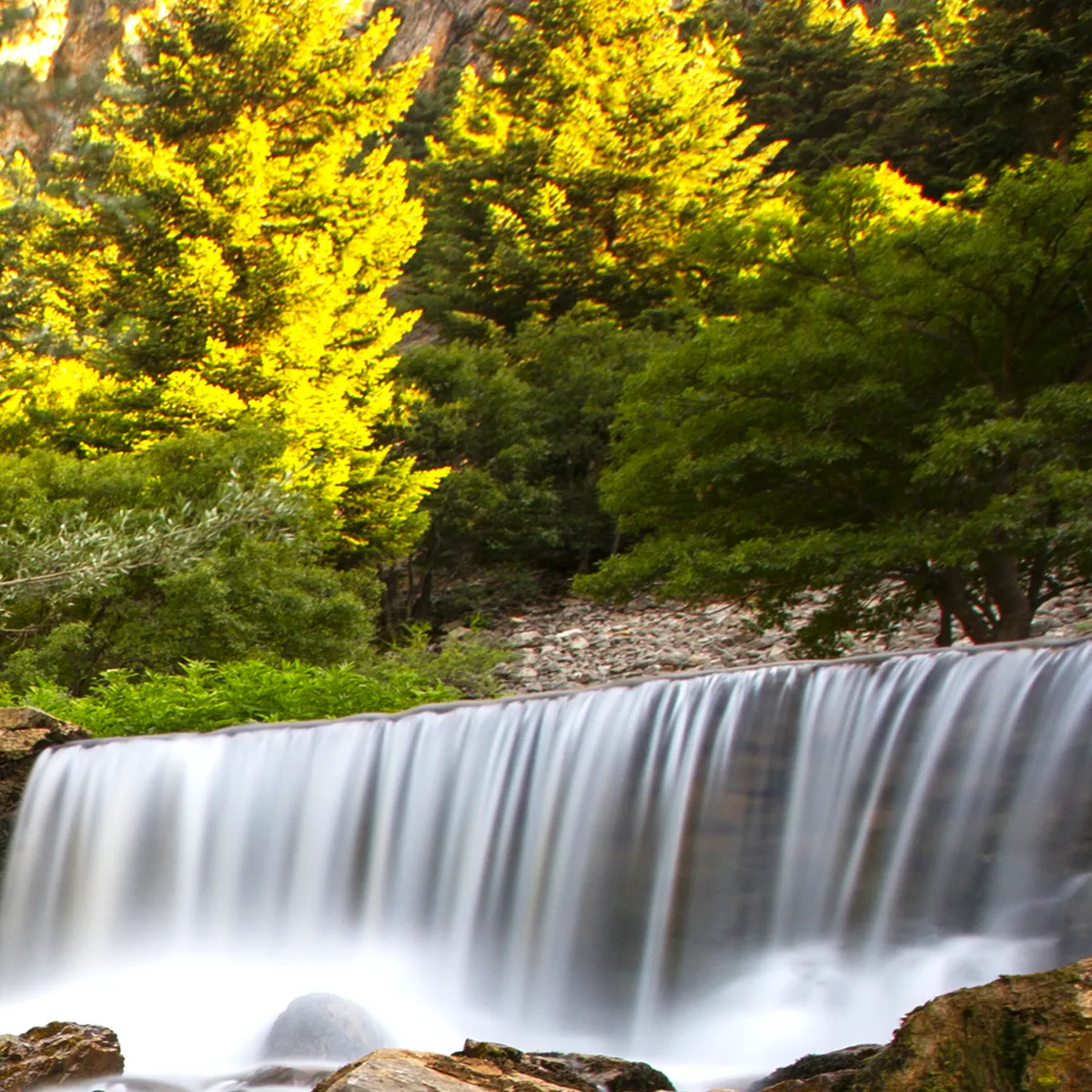 cascade-foret