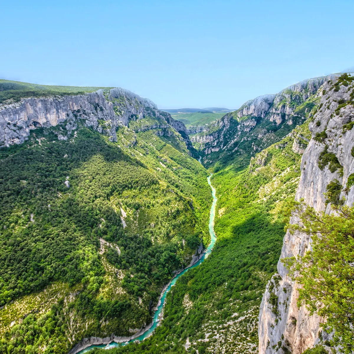 verdon