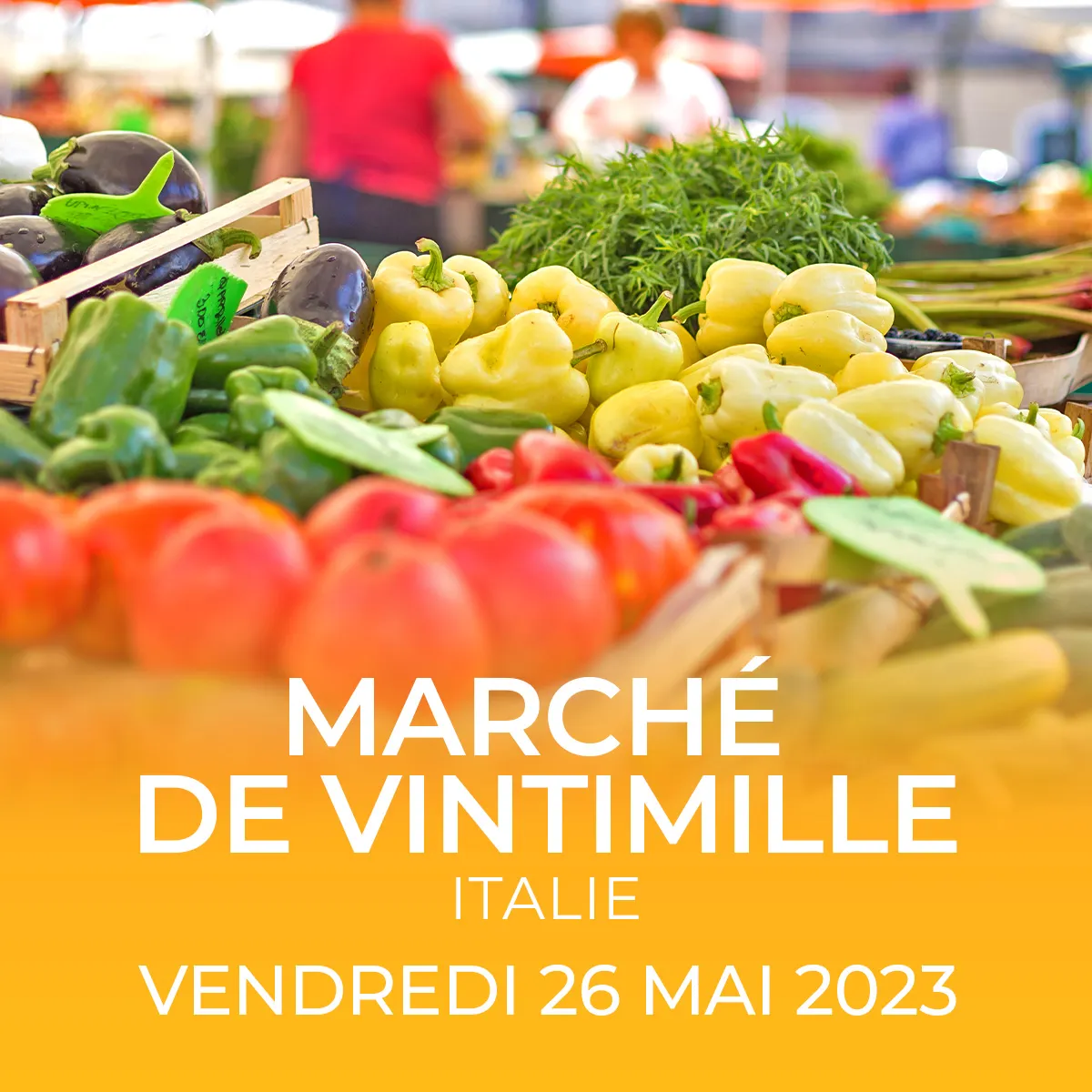 vintimille