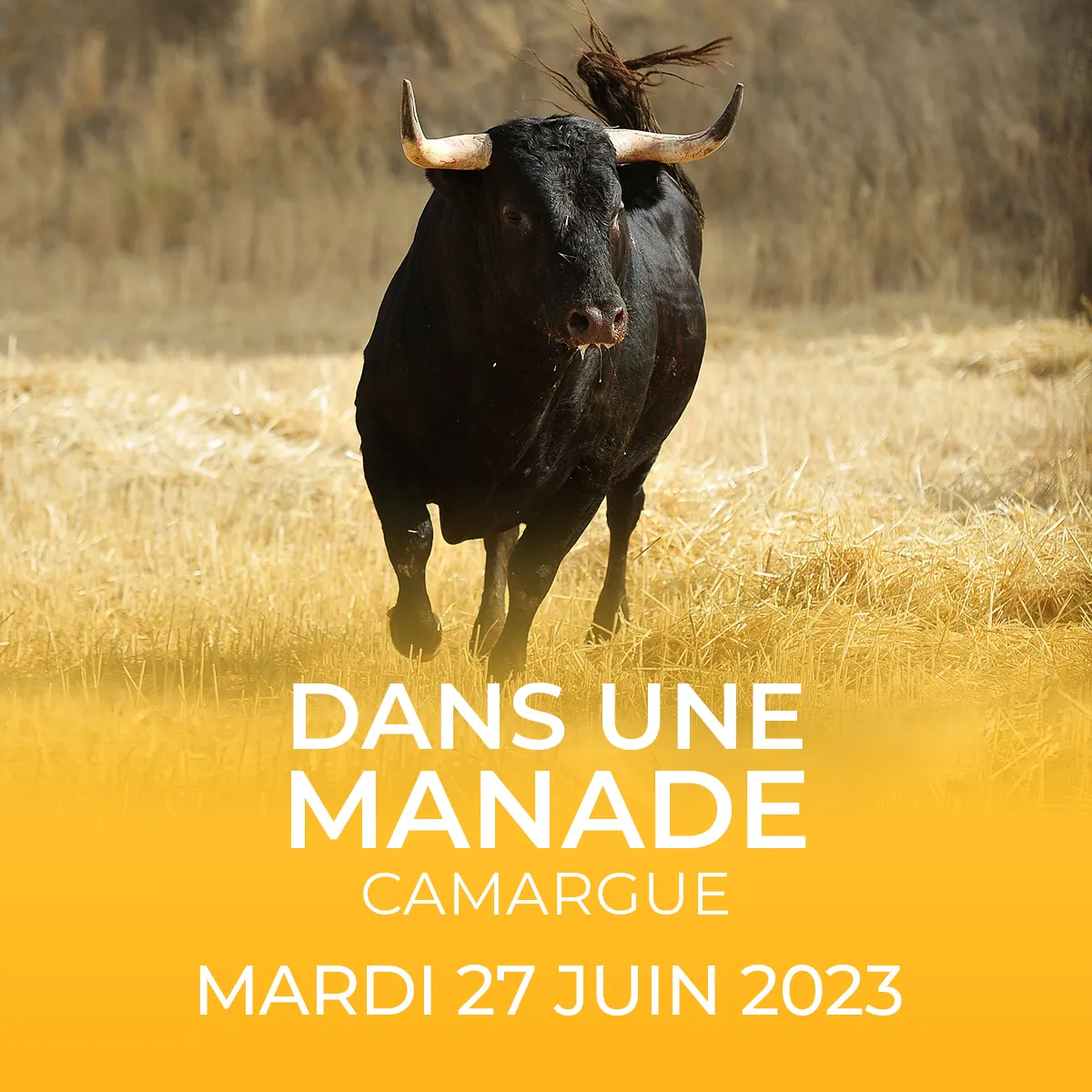 manade