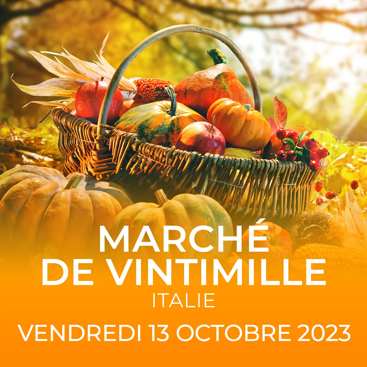 Marché de Vintimille