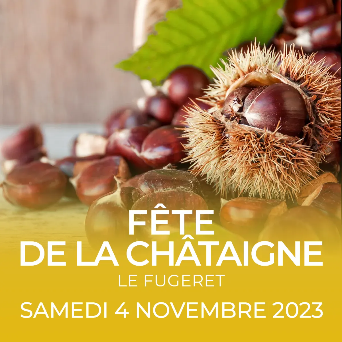 Fête de la chataigne