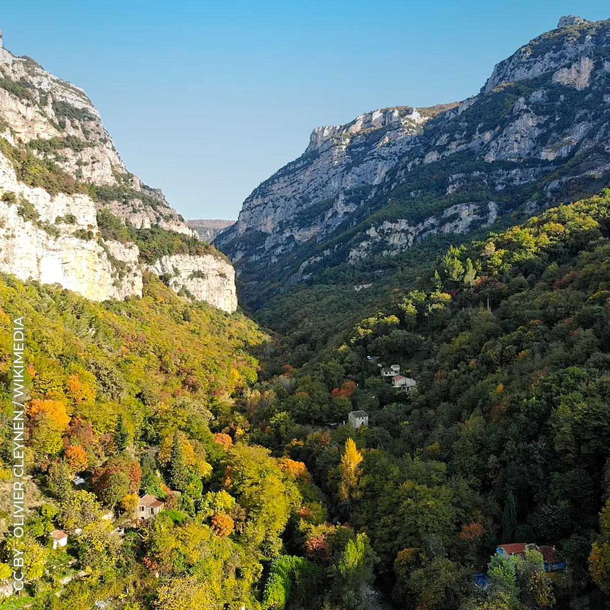 rives-loup-wik