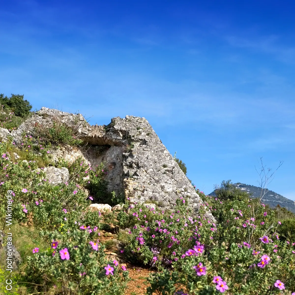 Mont-Chauve-1200px