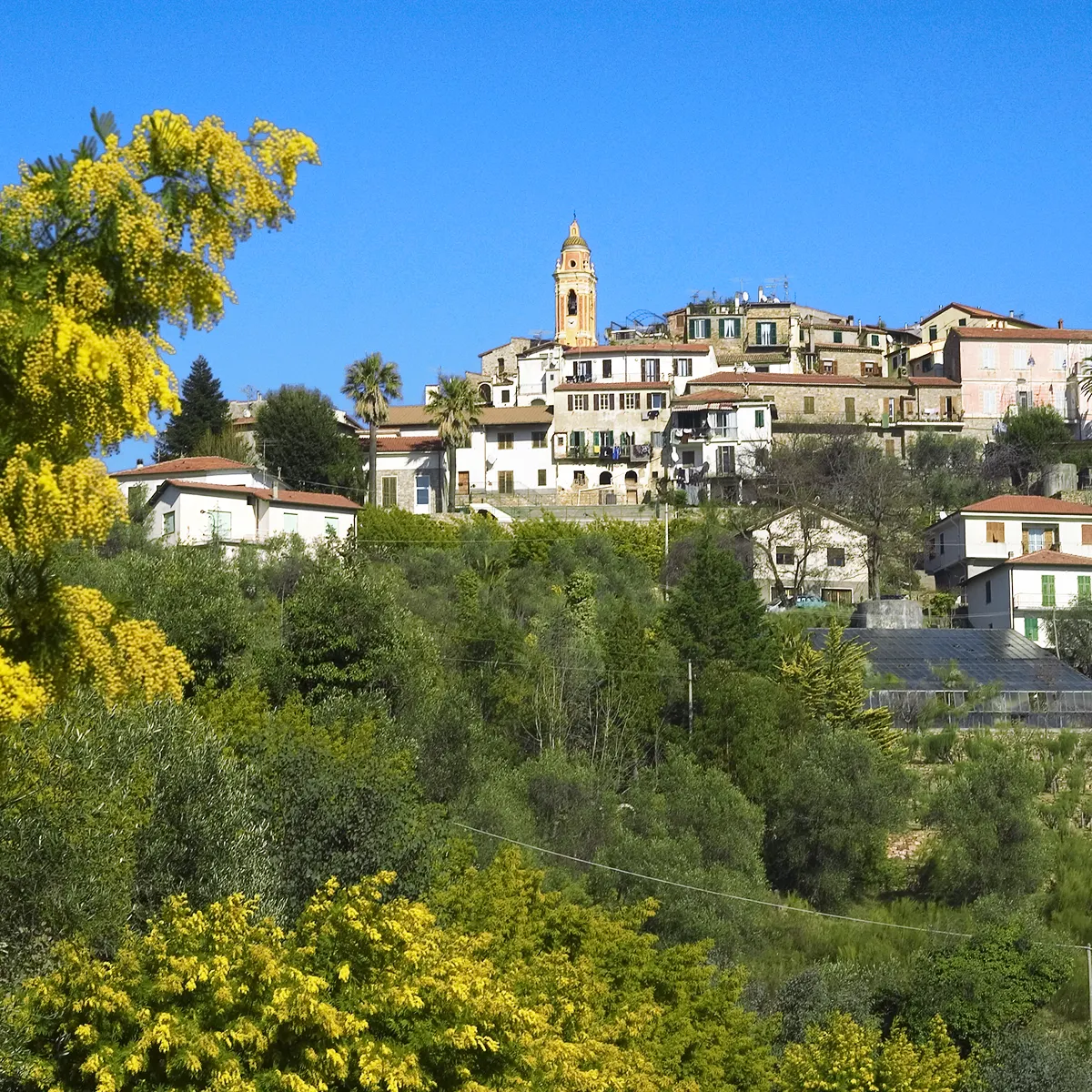 seborga-1200px