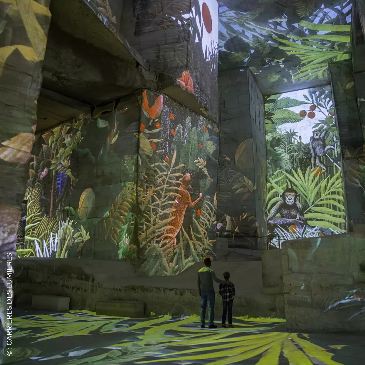 carrières de lumières